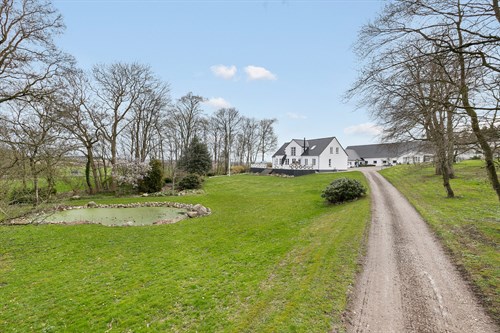 estate