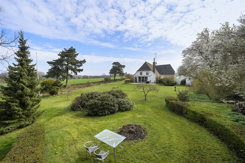 estate