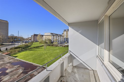 estate