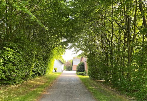 estate