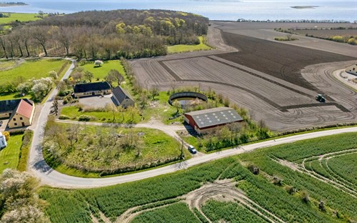estate