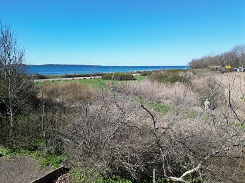 estate