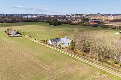 estate