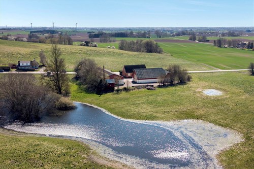 estate