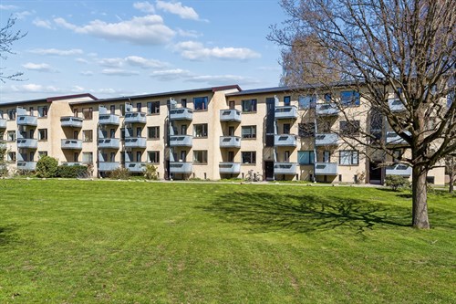 estate