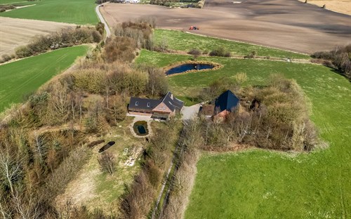 estate