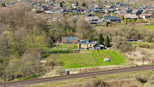estate