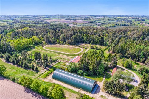estate