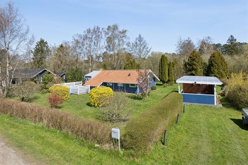 estate