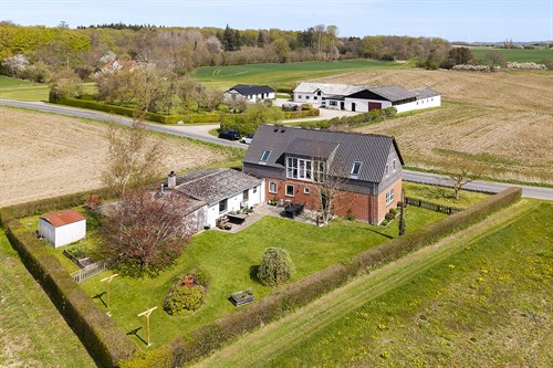 estate