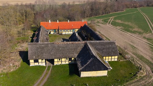 estate
