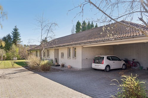 estate