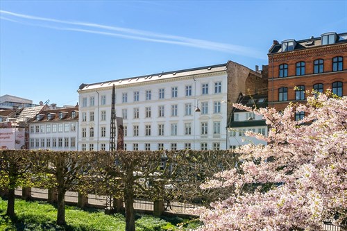 estate