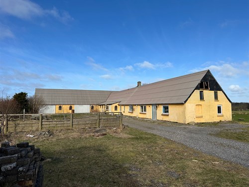 estate