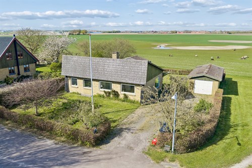 estate
