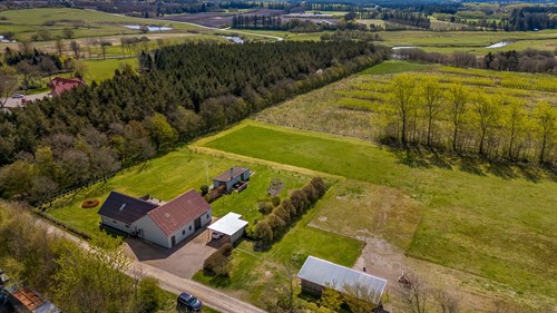 estate