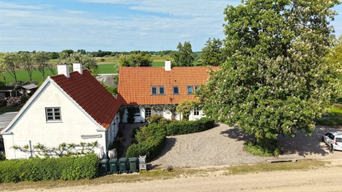 estate