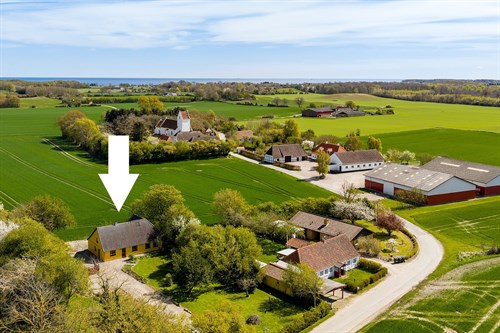 estate