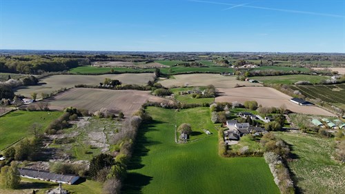 estate
