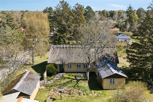 estate