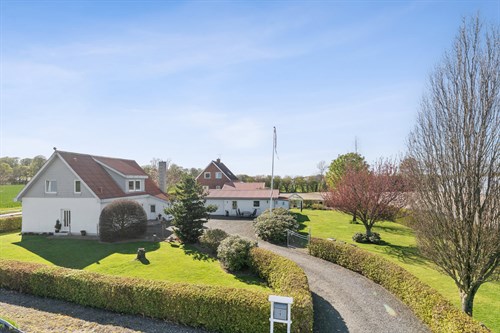 estate