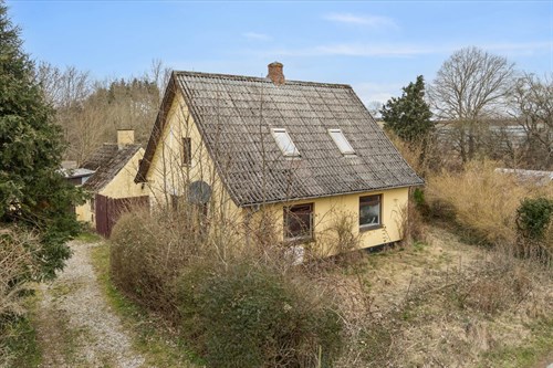 estate