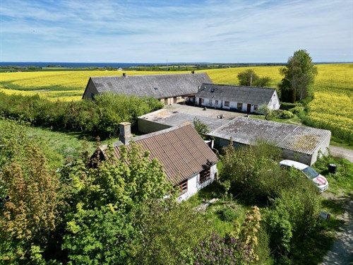 estate