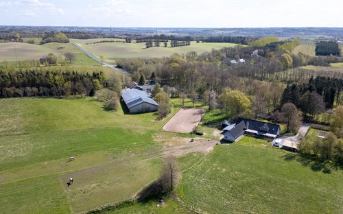 estate