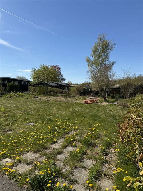 estate