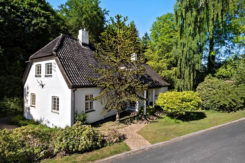 estate