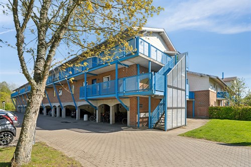 estate