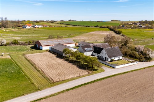 estate