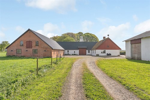 estate