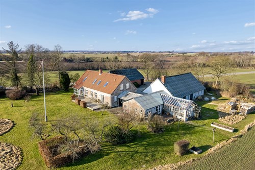 estate