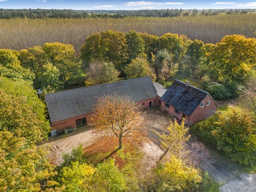 estate
