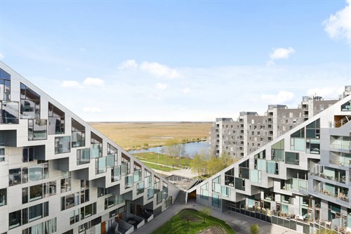 estate