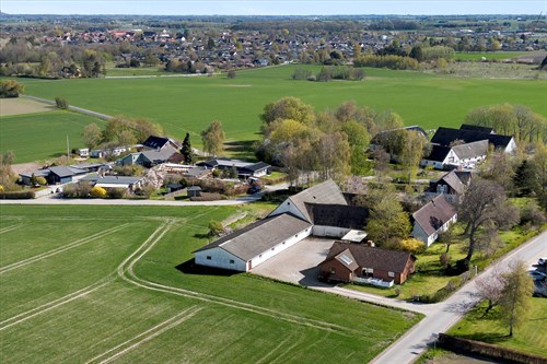 estate