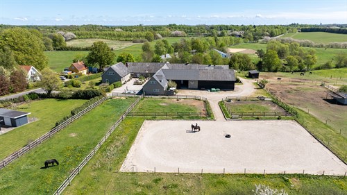 estate