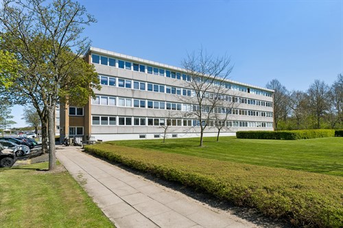 estate