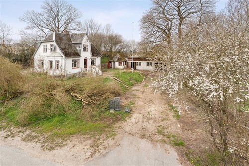estate