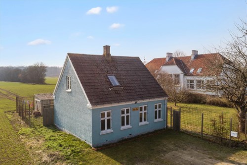 estate