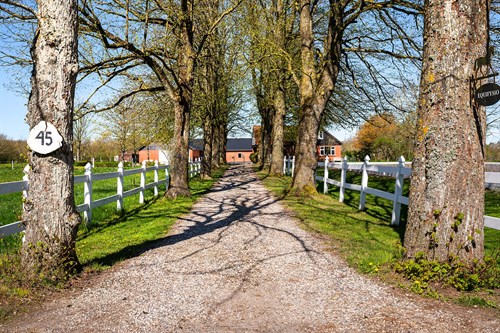 estate