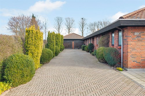 estate