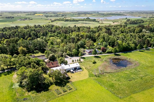 estate