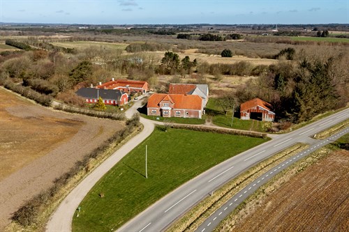 estate