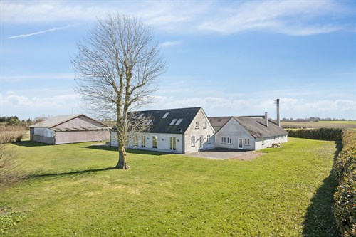 estate