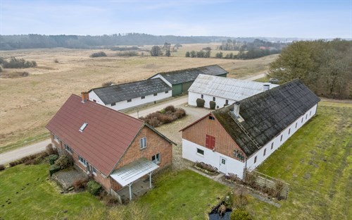 estate