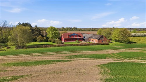 estate