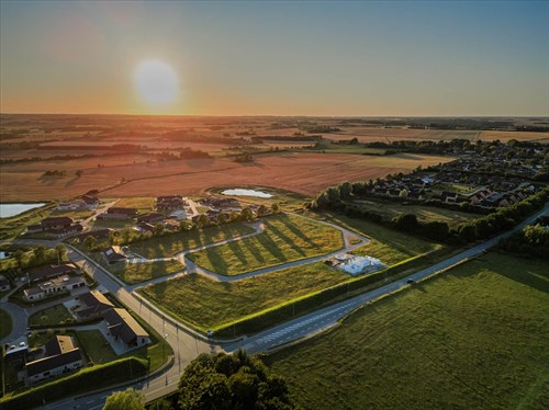 estate
