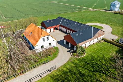estate
